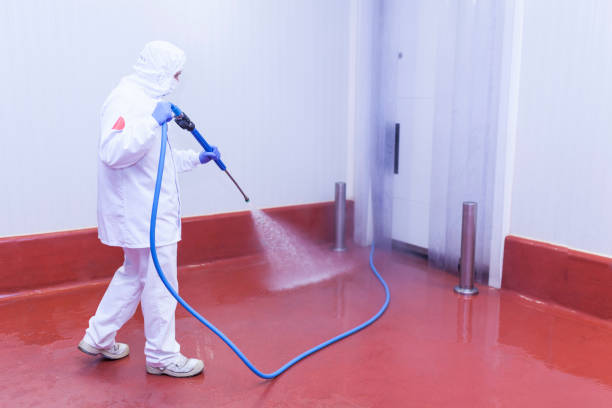 Best Roof Cleaning and Mildew Removal in Penn Yan, NY